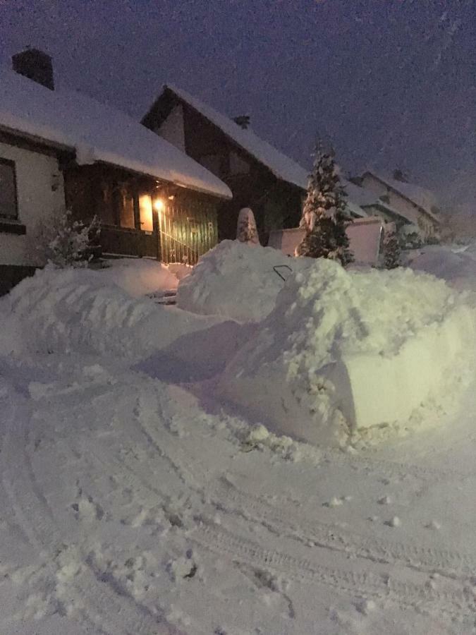 Ferienwohnung Arnika Braunlage Exterior foto