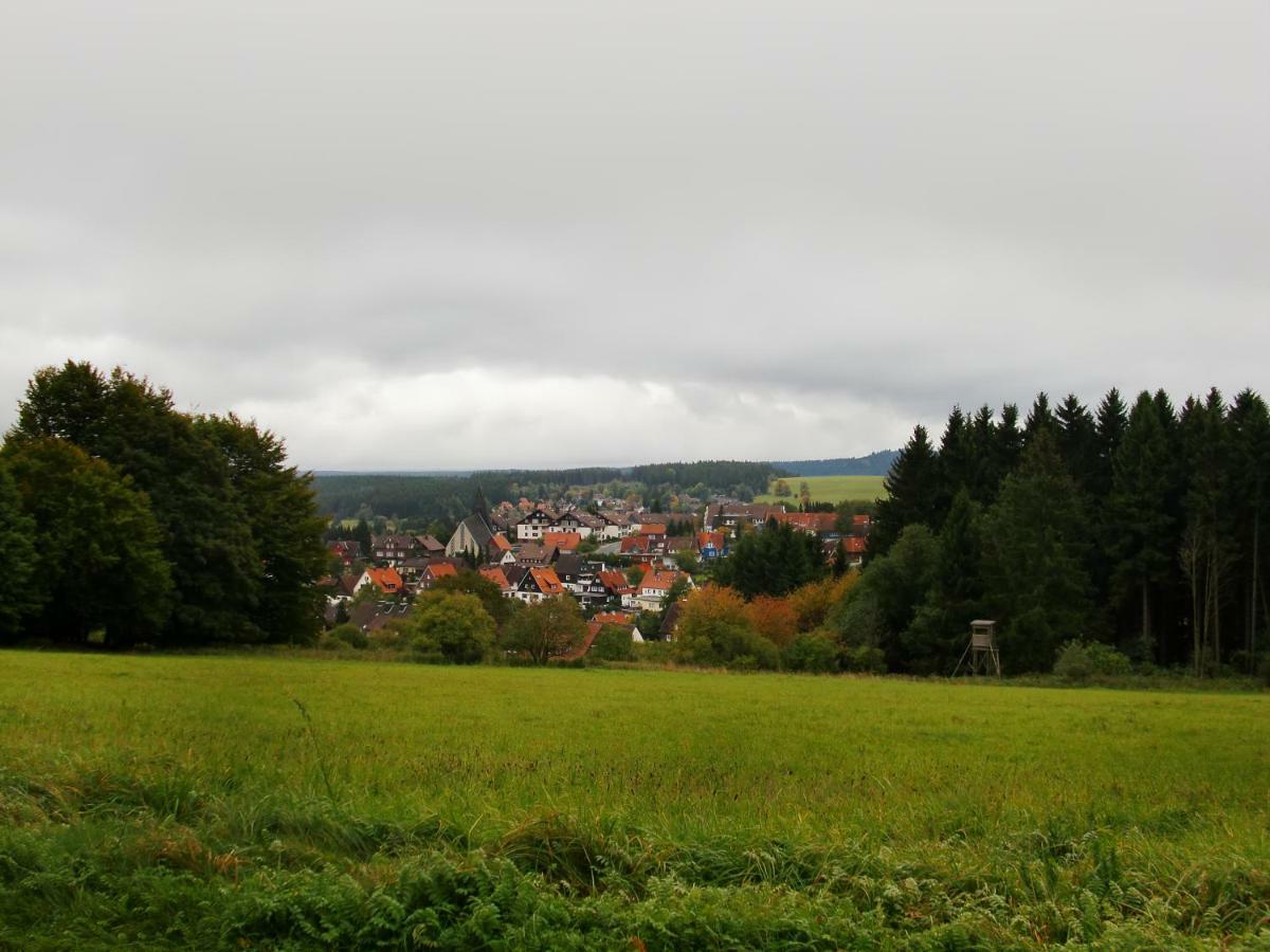 Ferienwohnung Arnika Braunlage Exterior foto